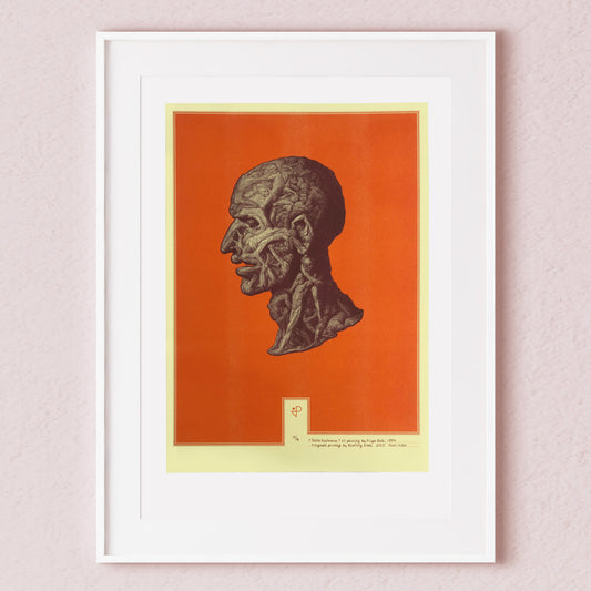 Testa Anatomica Risoprint